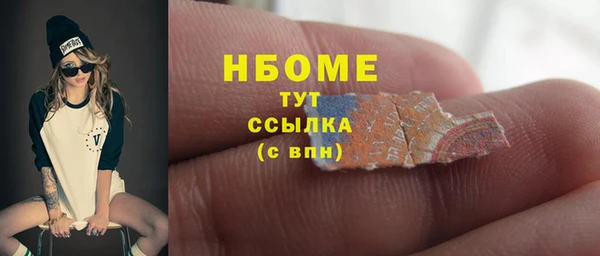 прущие грибы Алзамай