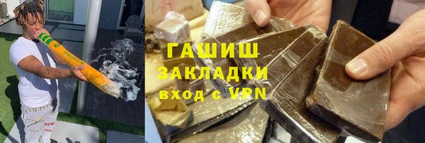 прущие грибы Алзамай