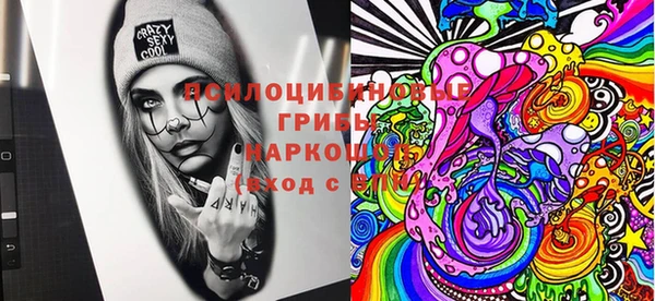 прущие грибы Алзамай